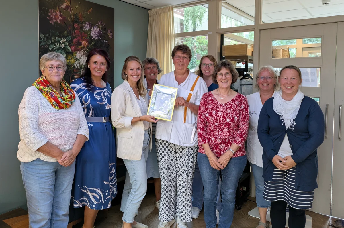 interne auditoren in de zorg undercover nurse Interne auditoren in de zorg - undercover nurse